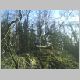 DSC00018.jpg