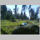 DSC00090.jpg